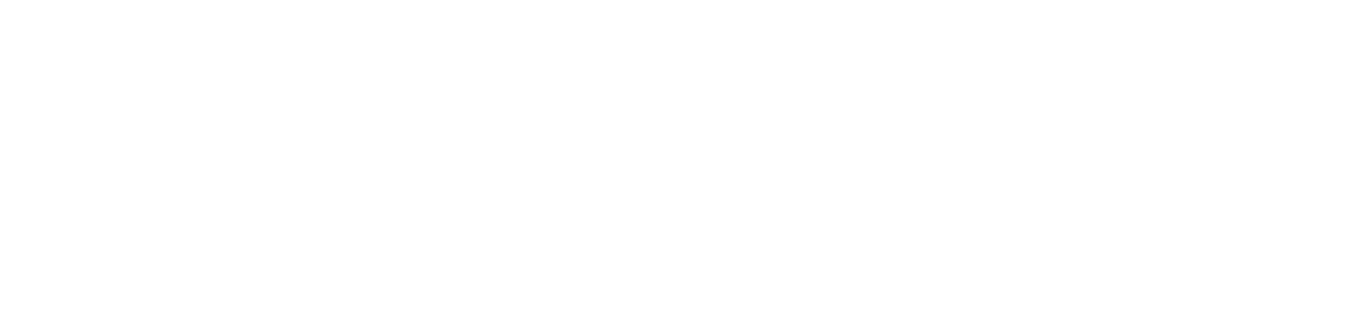 Pusula Holding